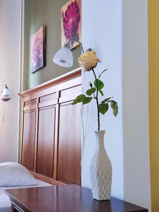 Bascarsija Apartment B-Home Old Town Σαράγεβο Εξωτερικό φωτογραφία